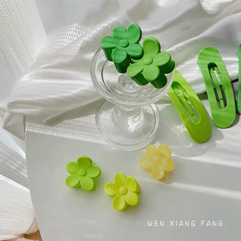 Full set hair clip HA114 images